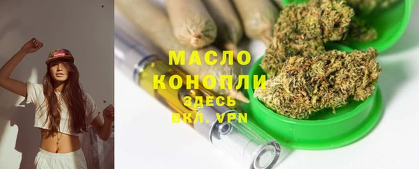 дживик Бородино