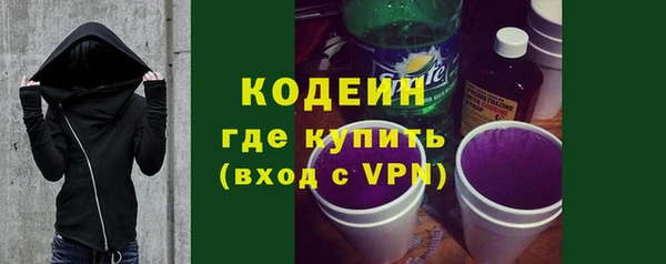 прущие грибы Богданович
