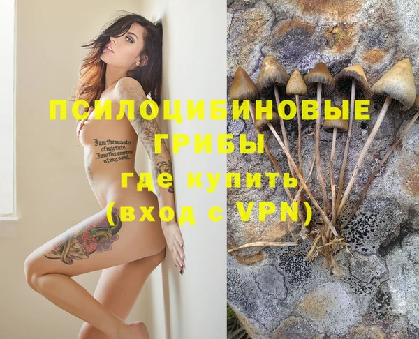 прущие крисы Сосновка