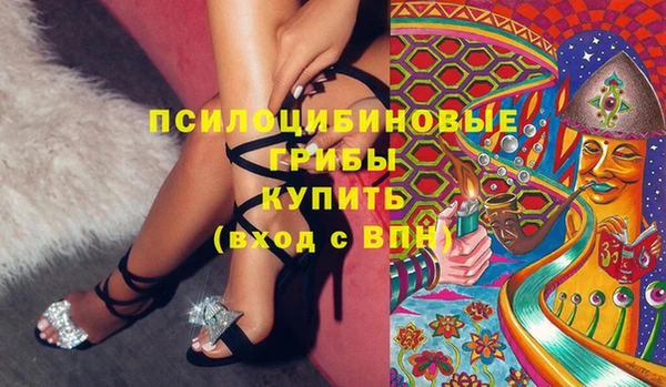 прущие грибы Богданович