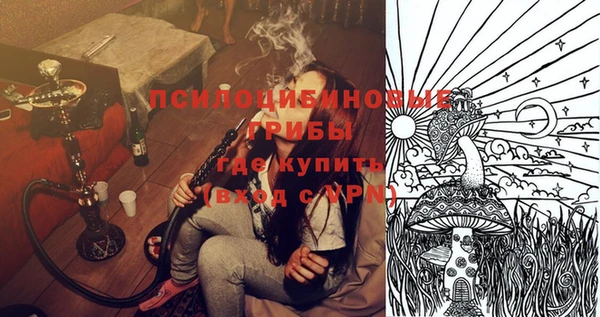 стаф Белокуриха