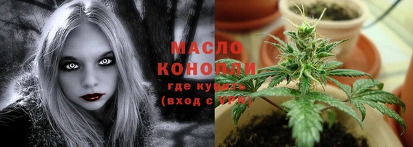 гашик Богородицк