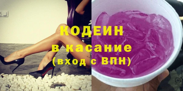 дживик Бородино