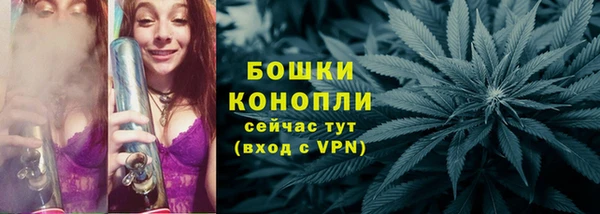 дживик Бородино