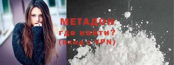 прущие грибы Богданович